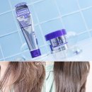 (주)리브테크놀로지 | 다이소신상 정직한실험실 다이소헤어팩 노워시 헤어트리트먼트 추천 후기 사용법까지