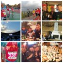 (2013.11.17) YTN손기정 평화마라톤대회 하프 페메 후기 이미지