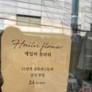 헤일비플라워