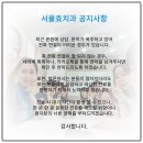 서울효치과의원 네이버블로그