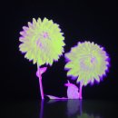 제주OK충전소 | 💕 제주렌트카 커플 감성 여행 코스 + 차량 조합 추천