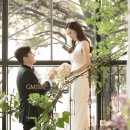 토브하우스 이미지