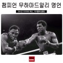 서초권투체육관 이미지