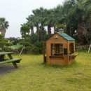 제주아이노스 이미지