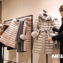 쉐르치현대 이미지