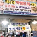 막썰이회센타