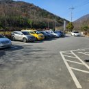 등뼈 감자탕&등갈비 이미지