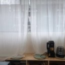 슬로우버드 이미지