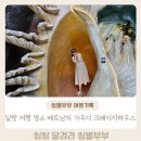 가우디하우스 - 연천군 연천로 156 | 달랏여행 명소 베트남의 가우디 크레이지하우스 방문 솔직후기