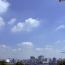 8/16(일)(급벙) 비요일 여의나루 마포대교아래에서 정담 이미지