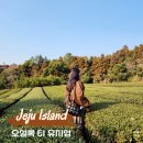 윤병원 건너편 | 서귀포 가볼만한 곳 부모님 여행코스 오설록 티 뮤지엄