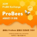 프로비스