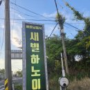 제주더와이 | 제주안덕면쌀국수맛집 베트남음식점을 찾는다면 새별하노이