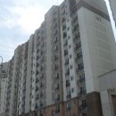 사파동310 이미지