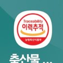 보람인삼 Daum카페