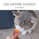 그루밍라운지 네이버블로그