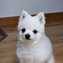 영이 가게 이미지