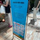 더일상마켓 | 앨리스 달튼 브라운 전시회 후기 그리고 하와이 마켓 다녀온 일상 기록 at 더현대서울 alt.1 ( 얼리버드...