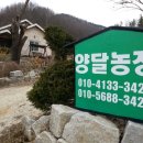양달농장 - 보은군 애곡로 421 | 양달농장