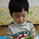 멍멍아 까꿍 이미지