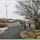 옥정 느티나무길 이미지