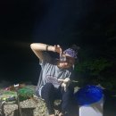 양평숲 비룡캠프장 이미지