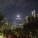 가나행정사사무소 이미지