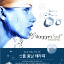 슈아브 이미지