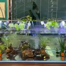 신능중학교 이미지