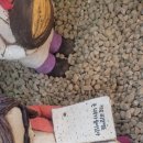 해솔작은도서관 이미지