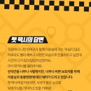 대구 펫 택시 이미지