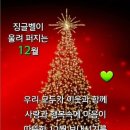 사랑과 행복속속에 따뜻한12월을 보내세요 이미지