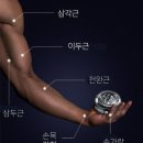 스카이메딕 | 작지만 확실한 효과! 플레쉬 자이로볼 4세대 전완근 악력 운동기구 사용 후기