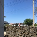 플로어가든02 이미지