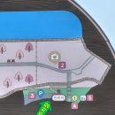 웅동마을 | 창원 진해 웅동수원지 벚꽃단지 개화 정보 &amp; 김달진 생가·문학관 함께 둘러보기