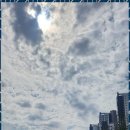 과천써밋  공인중개사사무소 | 과천위버필드 금터공인중개사사무소, 과천 부동산 파트너로 이상적