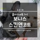 클라이네독 이미지