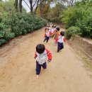 애플어린이집 이미지