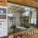 쑝이네 애견샵 이미지