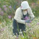 자연의 꿈 이미지