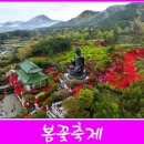 강진약국 이미지