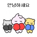 모던복싱