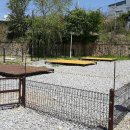 물동네 힐링 야영장 이미지