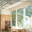 나나애견 이미지