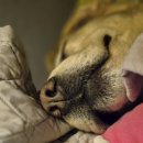 아이센스블랙라벨PC존 창원남양점 이미지