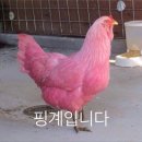 이천마트 이미지