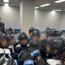 아이스베어스