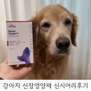 강아지 항산화 신장영양제 딥케어 레날서포트 신시어리몰 추천인코드 ORHVZN