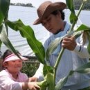 종대농장 이미지