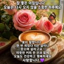 ♡2026년 8월18일 화요일 출석부♡ 이미지